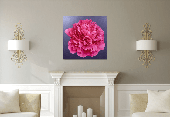 Magenta Delight