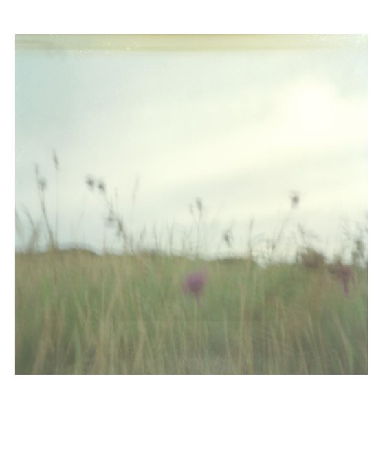 PLASTIC PINHOLE 09 -  Fine Art Ltd Giclee Print 20 x 24 inch