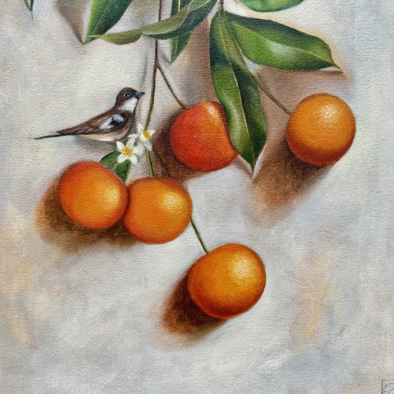 Whispers Among Oranges