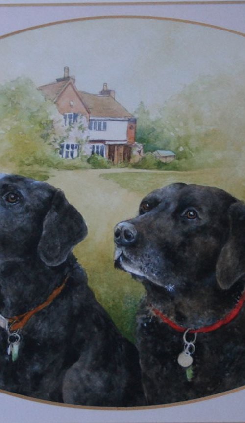 Black Labradors by Christopher Hughes