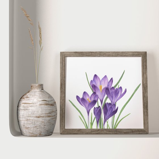 Violet Crocuses original watercolor