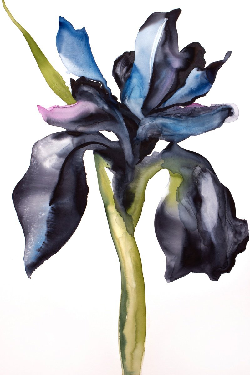 Expressive Watercolour , Iris No. 209 By Elizabeth Becker, 24 X 36, Artwork For Sale On Artfinder