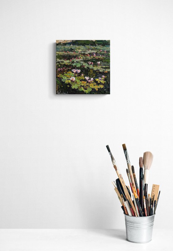 Blooming Water Lilies