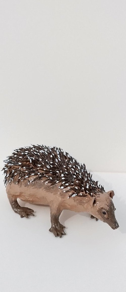 European hedgehog by Shweta  Mahajan