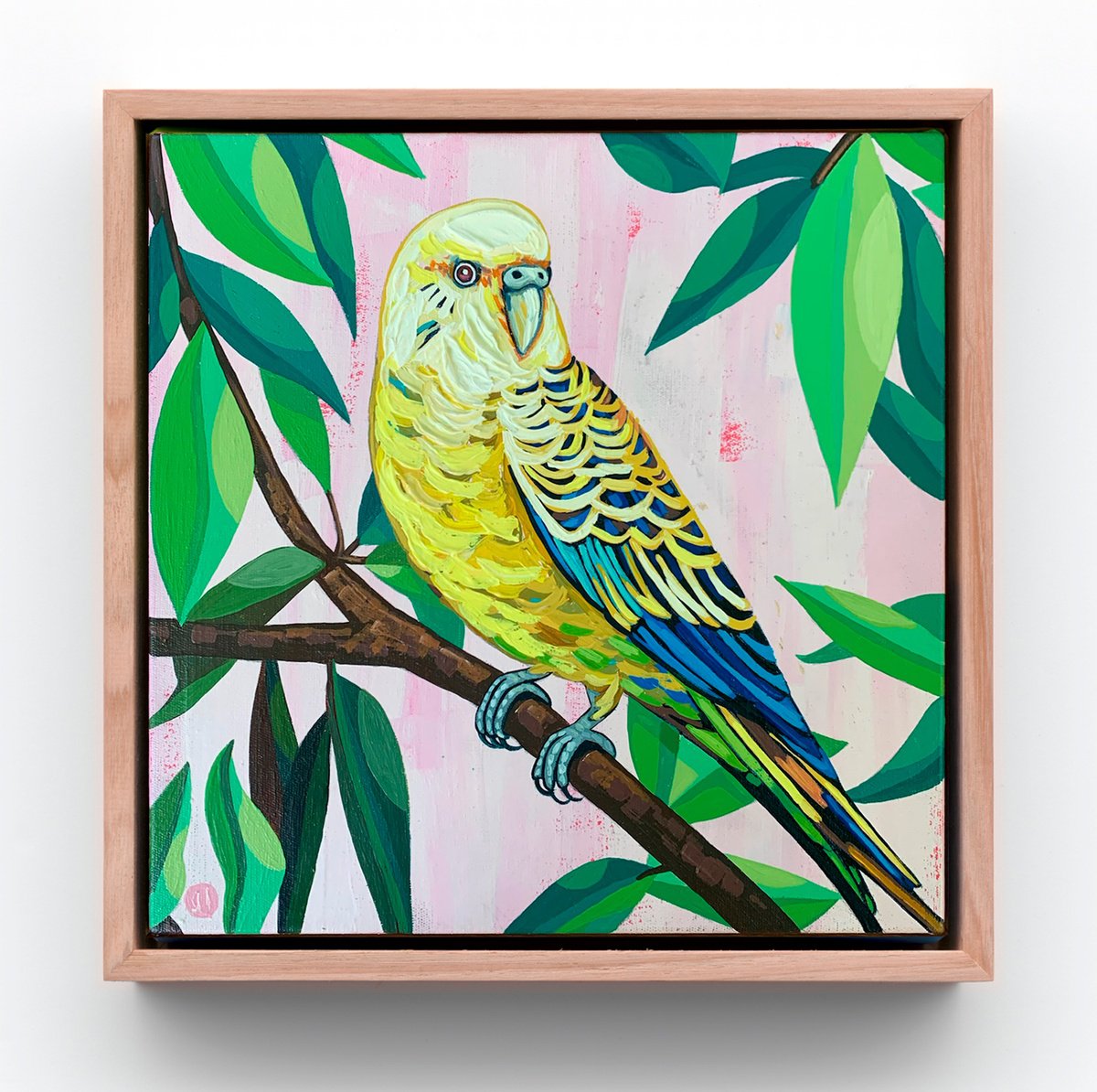 Budgie Beauties: Jinx by JULIE LYNCH