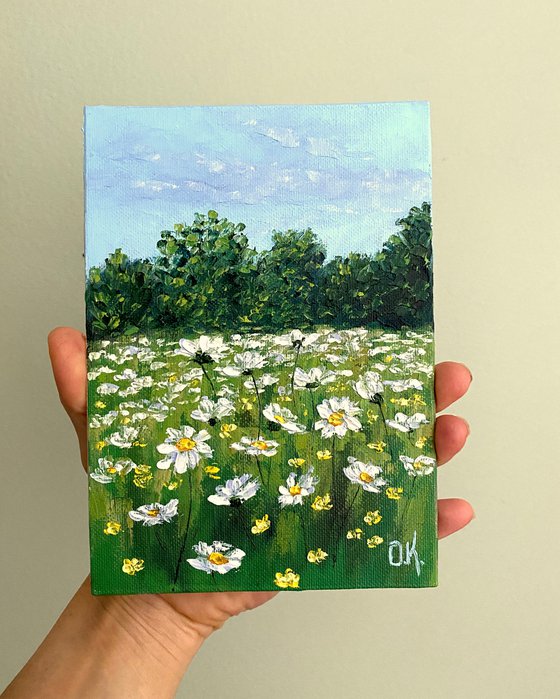 Daisy field