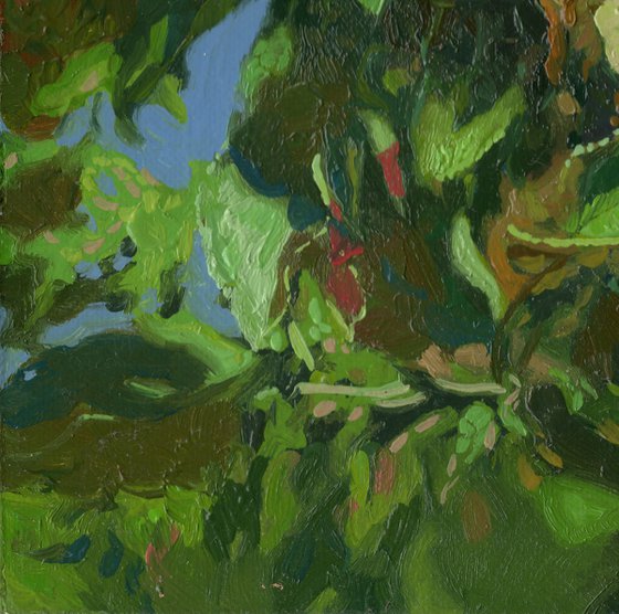 Apples