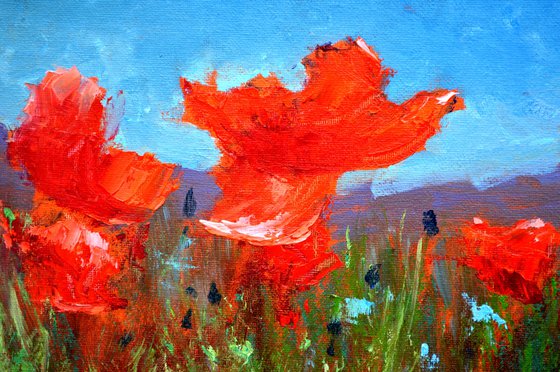 Coral Poppies 21X30