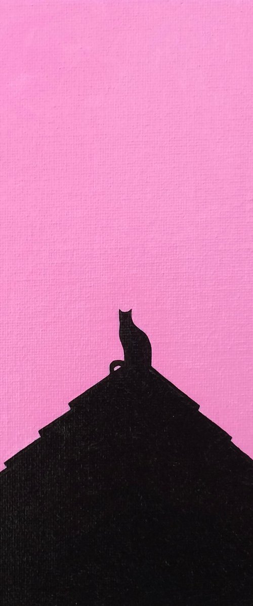 The Cat And The Pink Sunset by Jill Ann Harper