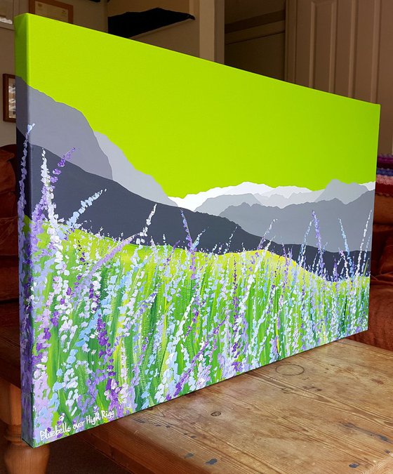 Bluebells over High Rigg, The Lake District