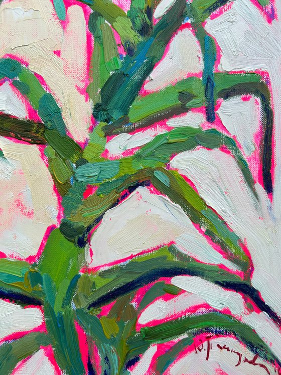aloe vera
