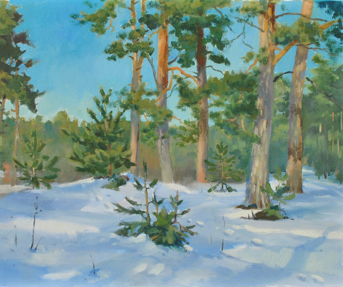Impressionistic Landscape Oil Painting By Anna Shevel, 20 X 16, Ukrainian Winter Pine Forest, Original Artwork
