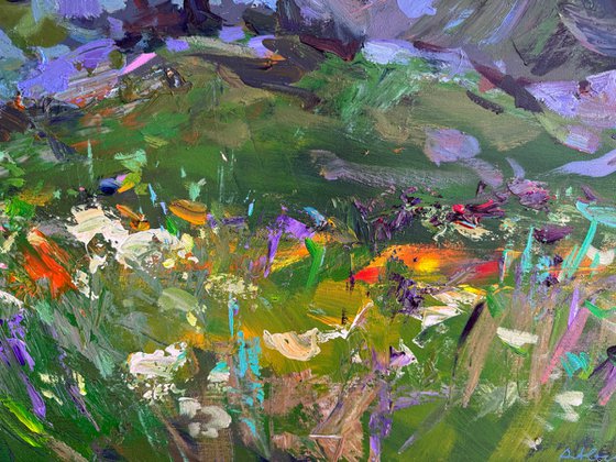Summer evening.Formigal