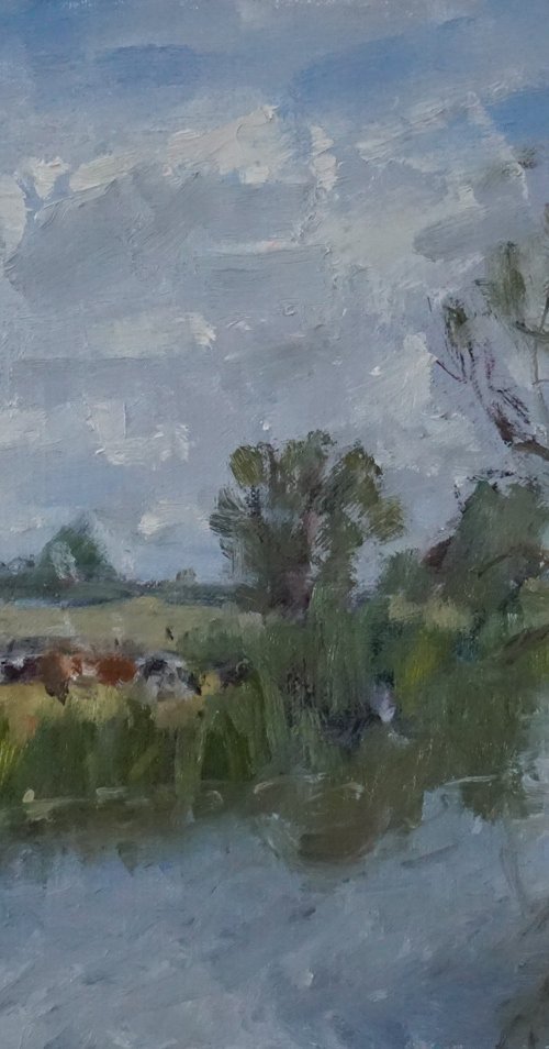 Cows by the Thames, Lechlade by Alex James Long