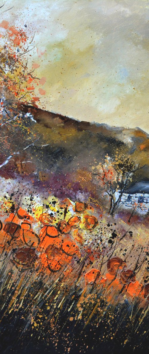 Orange flowers in autumn-  8823 by Pol Henry Ledent