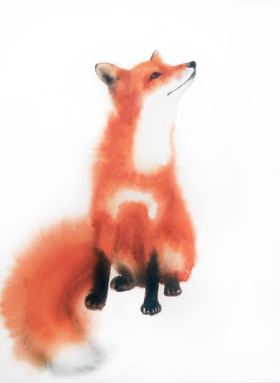 Red Fox II - foxy - fox portrait - fox watercolor - fox looks upwards