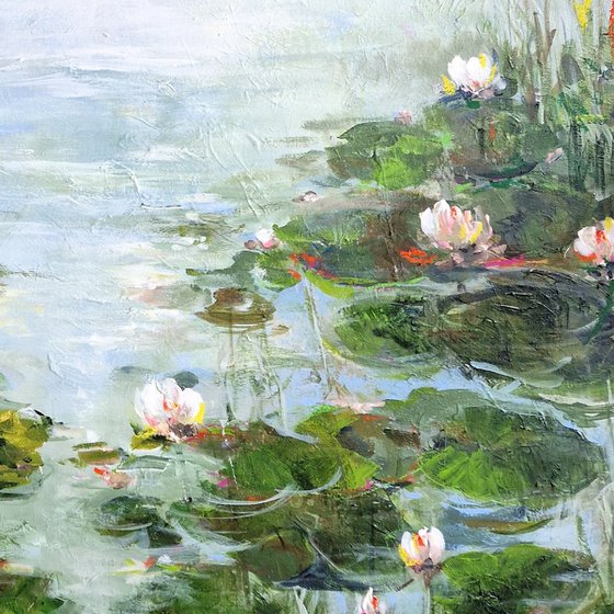 Water Lilies On The Shore