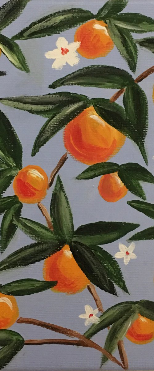 Oranges by Amelia Taylor