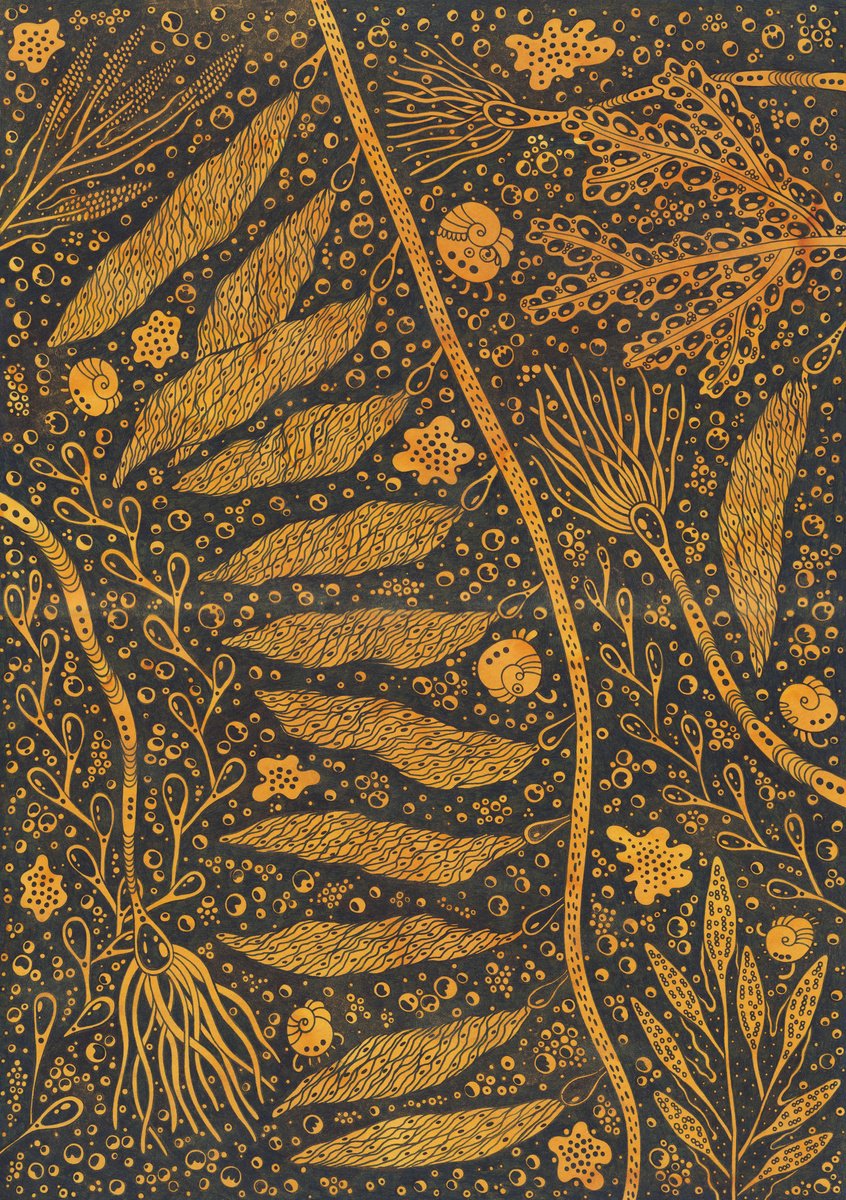 Organic Botanical Ink Drawing By Veronika Demenko, 11 X 17", Underwater Life N.14, Original Artwork