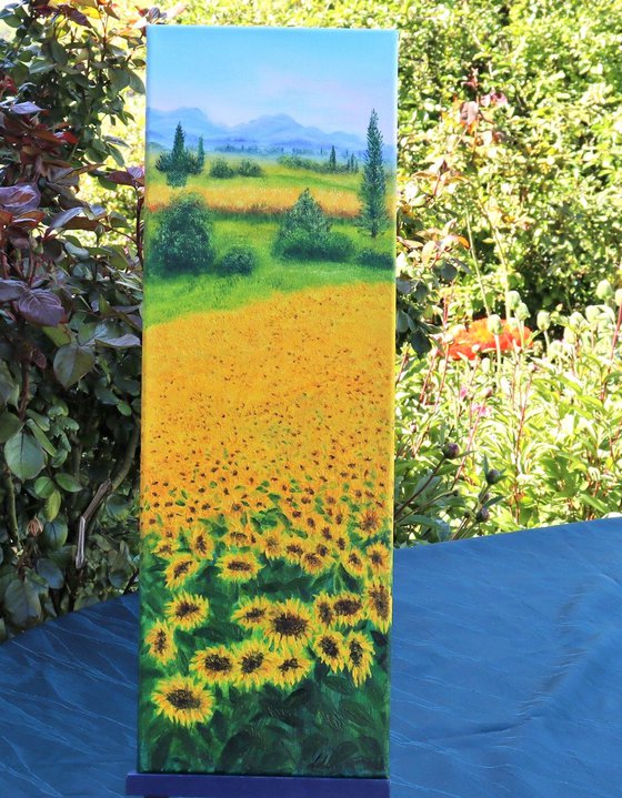 Sunflowers field in Tuscany