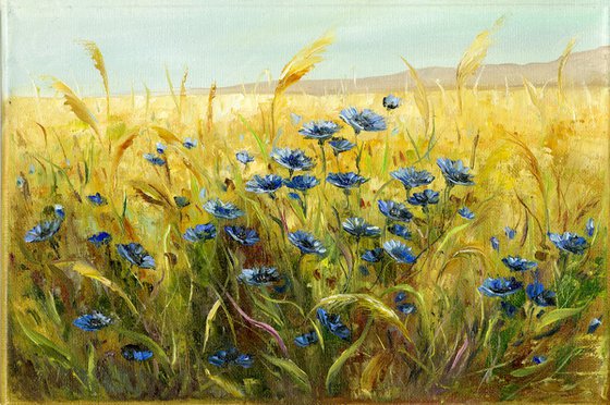Cornflowers in the field