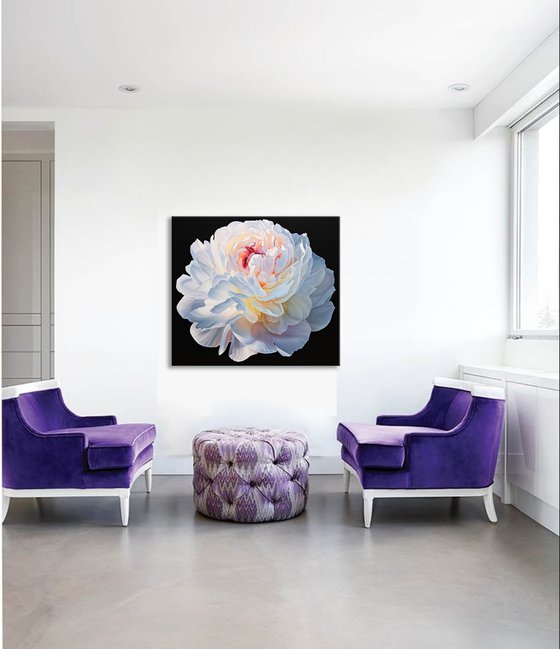 Royal peony