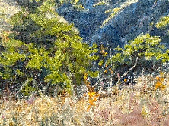 Big Sur Coast Plein Air Landscape