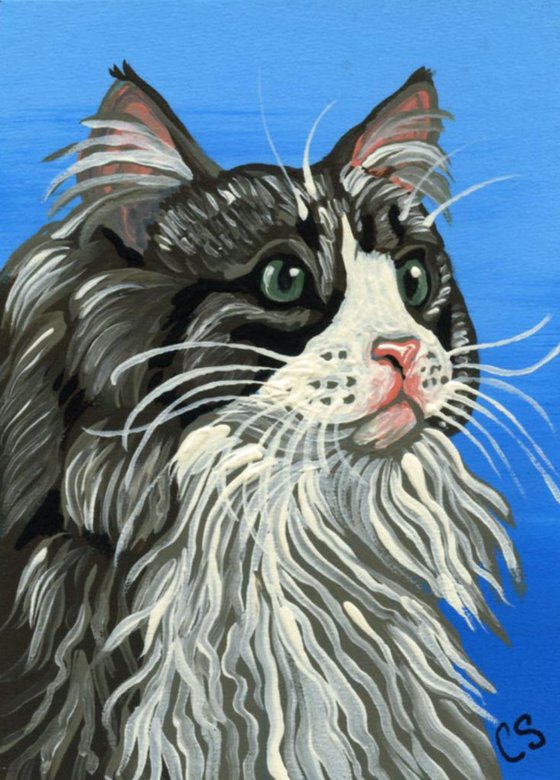 ACEO ATC Original Painting Maine Coon Cat Pet Kitty Art-Carla Smale