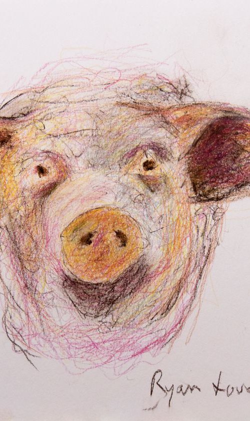 Pig Face by Ryan  Louder