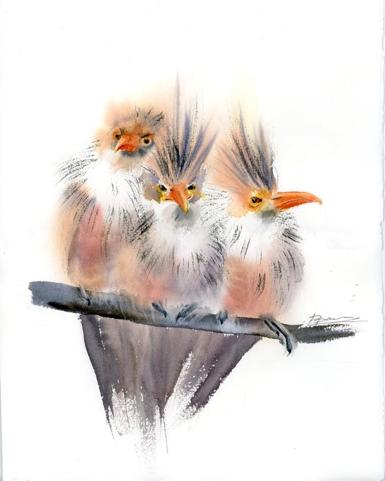 Trio Of Crested Birds - Diptych