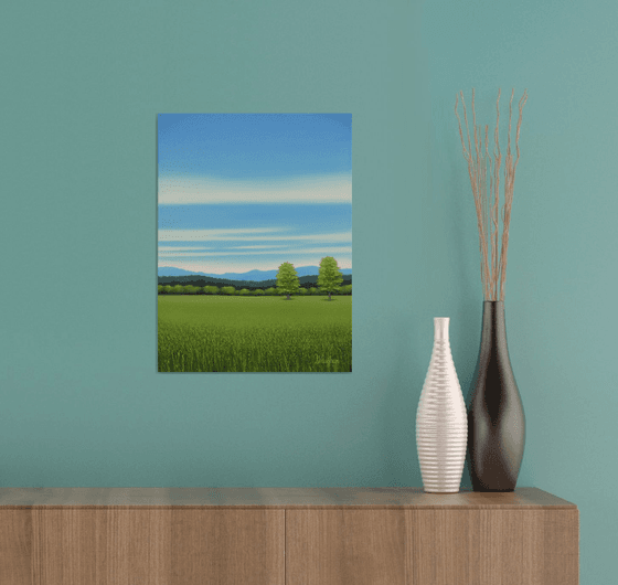 Grassy Field - Blue Sky