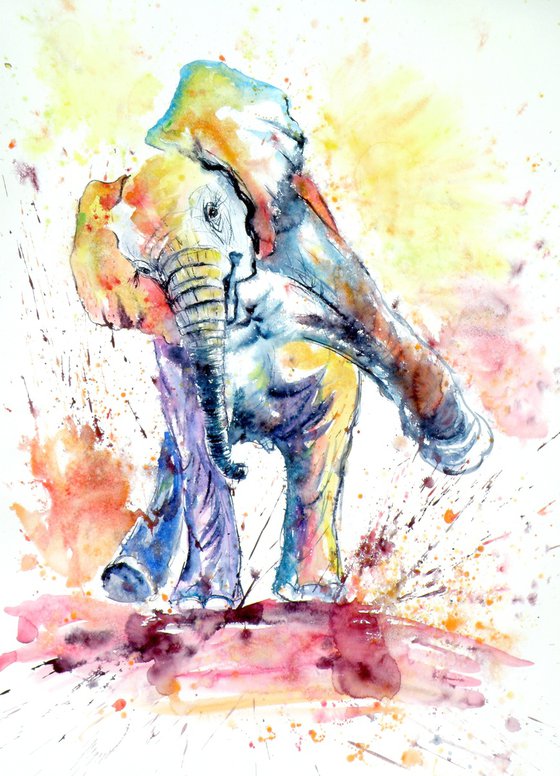 Playing elephant baby VI