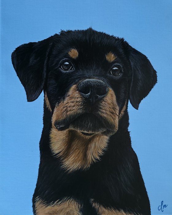 Commision pet portrait