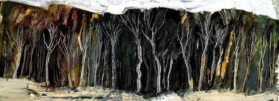 Mountain Ash Tree, Winter