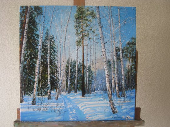 Winter Woodland Scenery