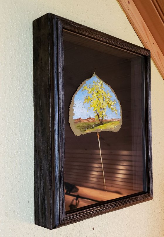 Landscape - Cottonwoods I