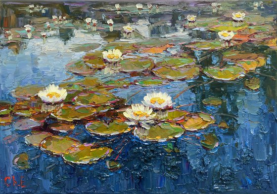 "Water lilies"