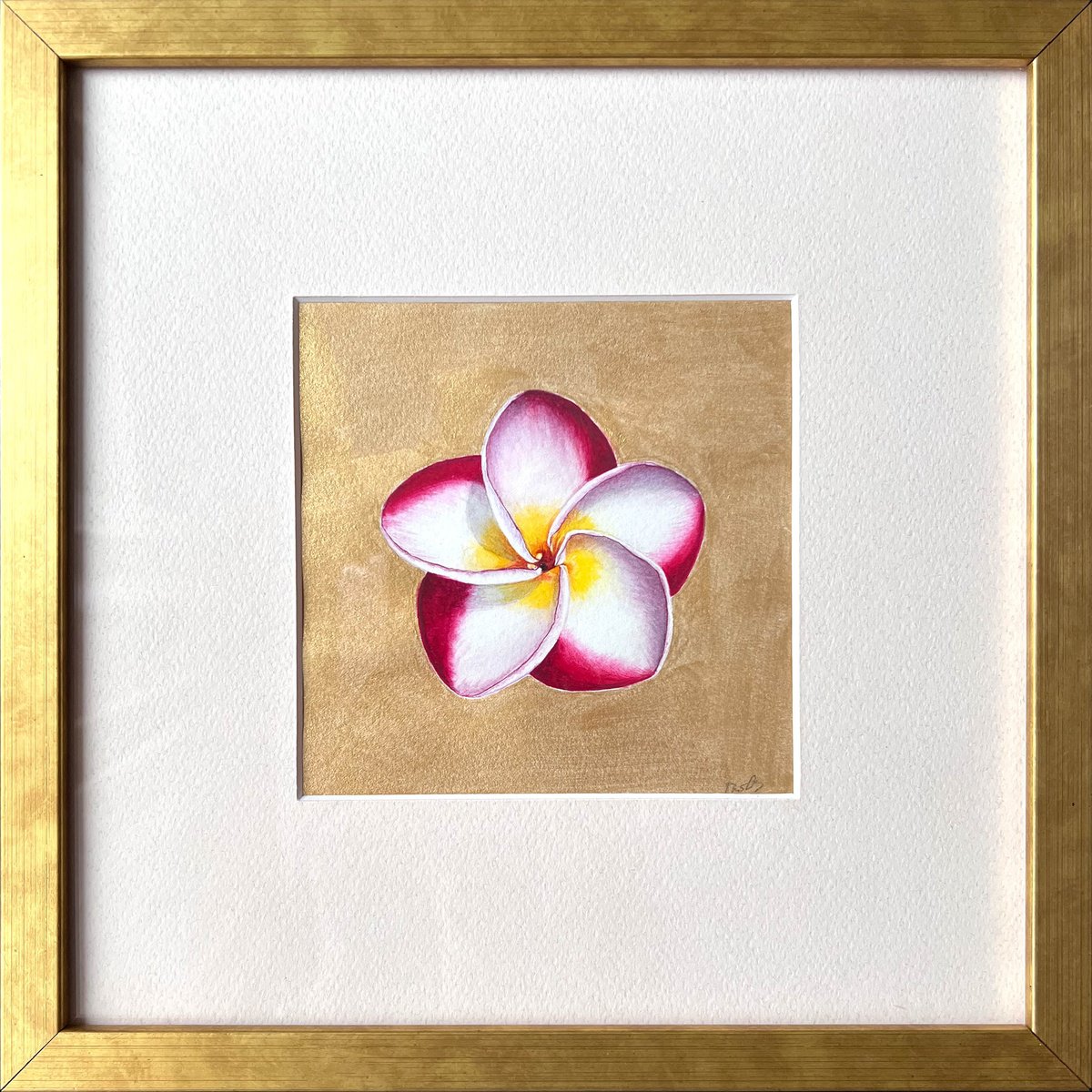 Illustrative Botanical Watercolour By Tetiana Kovalova, 10 X 10", Pretty Plumeria, Original Artwork
