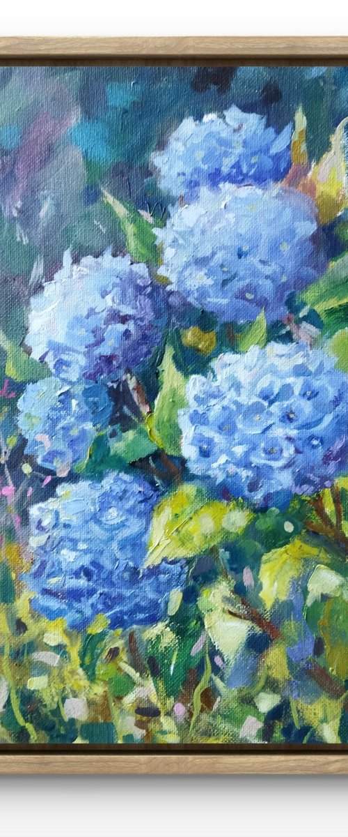 Hydrangeas flowers by Ann Krasikova
