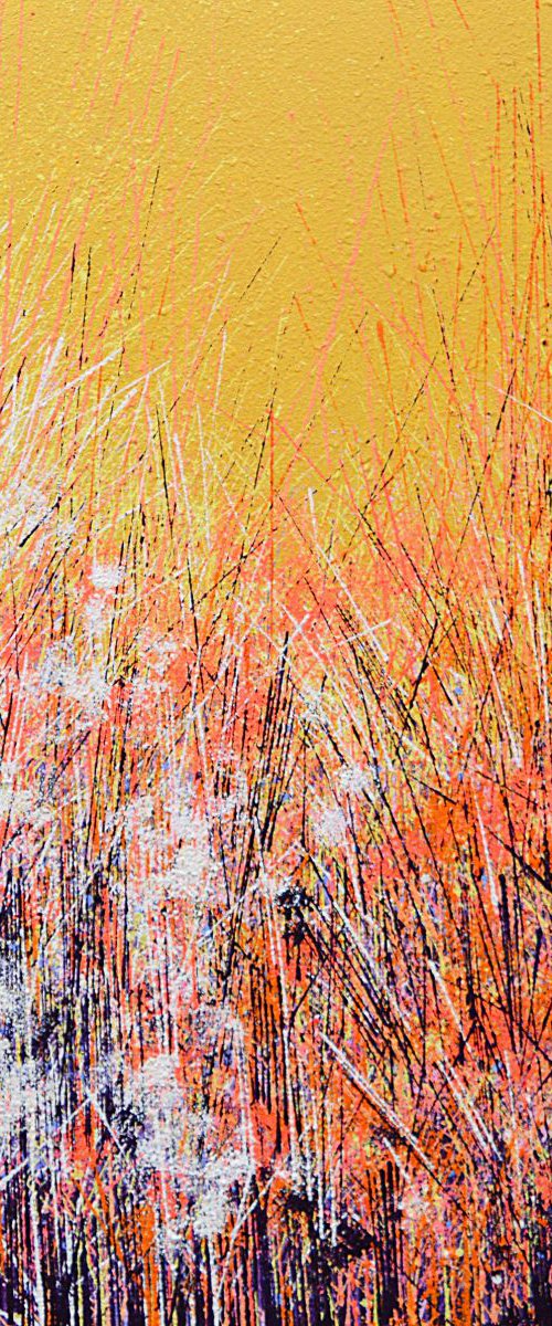 Wild flowers under a warm yellow sky by Marc Todd