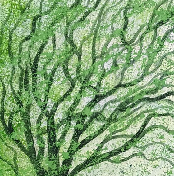 The Windward Tree