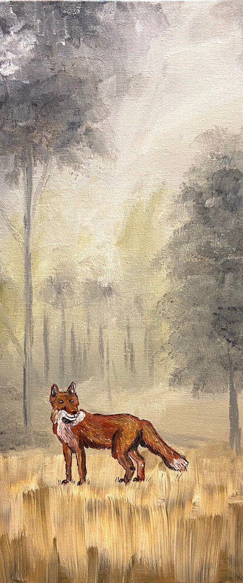 Mysterious Fox by Aisha Haider
