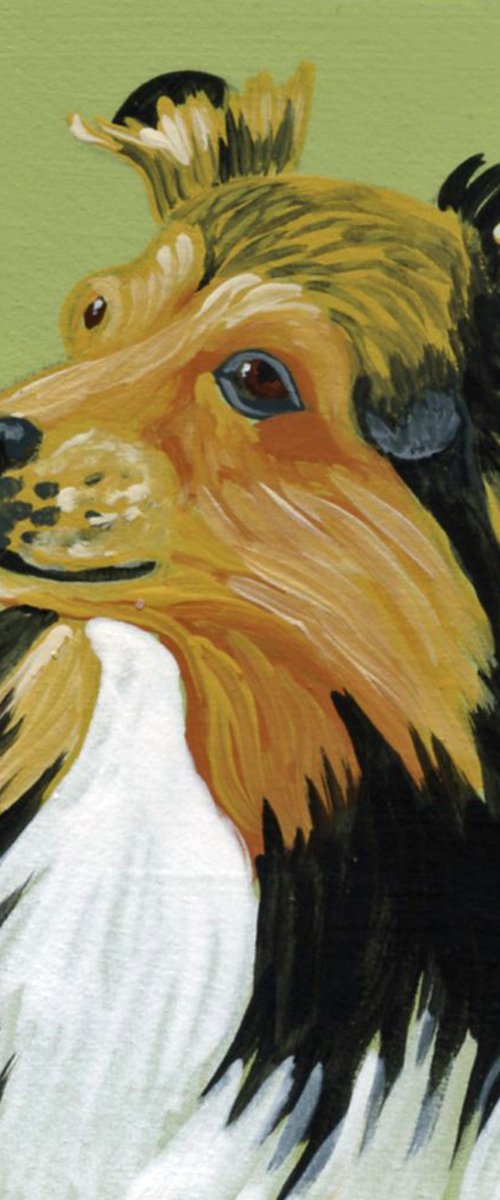 ACEO ATC Original Miniature Painting Sheltie Shetland Sheepdog  Pet Dog Art-Carla Smale by Carla Smale