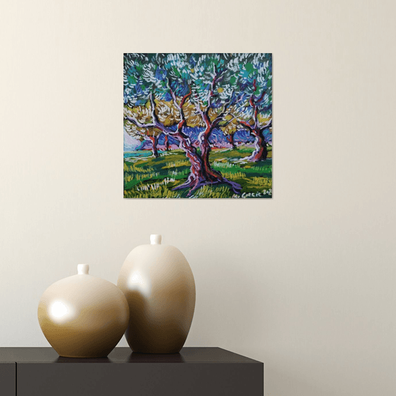Olive grove No 41