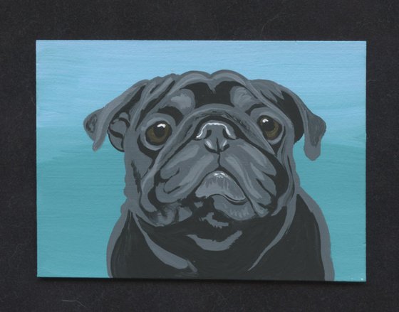 ACEO ATC Original Miniature Painting Black Pug Pet Dog Art-Carla Smale