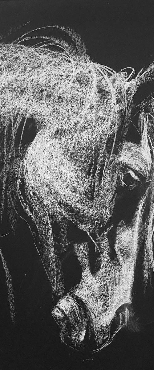 Horse's head II by Olga Bolgar