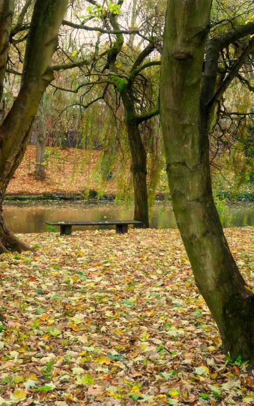 Autumn Carpet by Martin  Fry