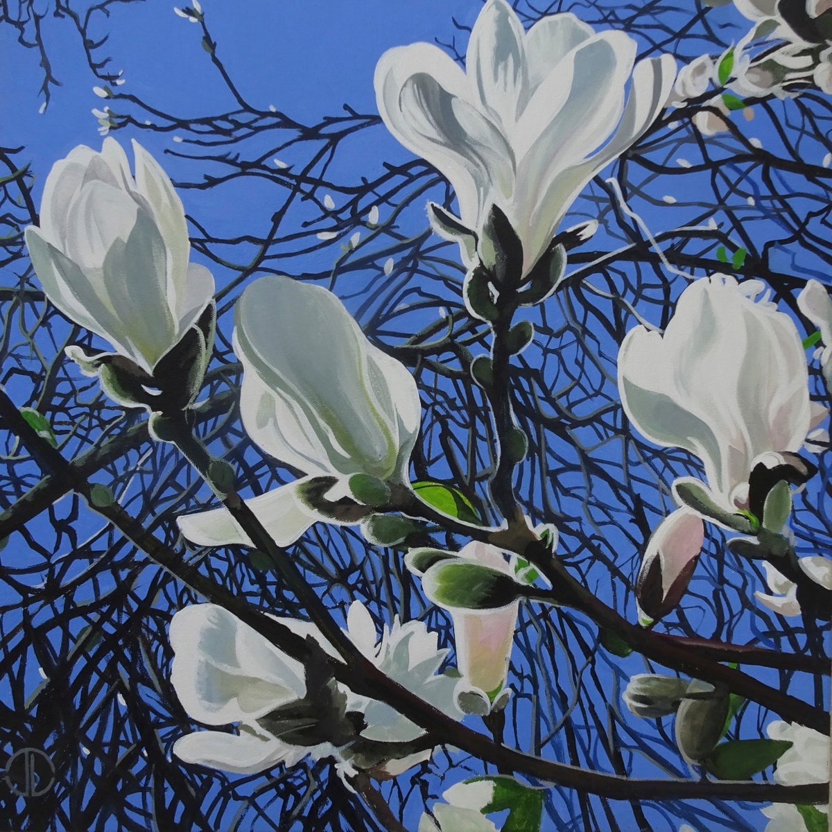 Magnolia Flowers And Blue Sky by Joseph Lynch
