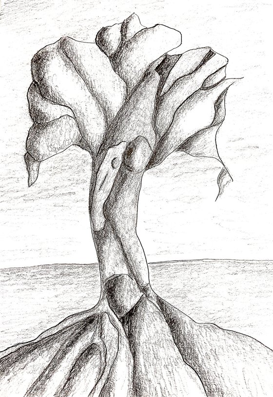 Roots