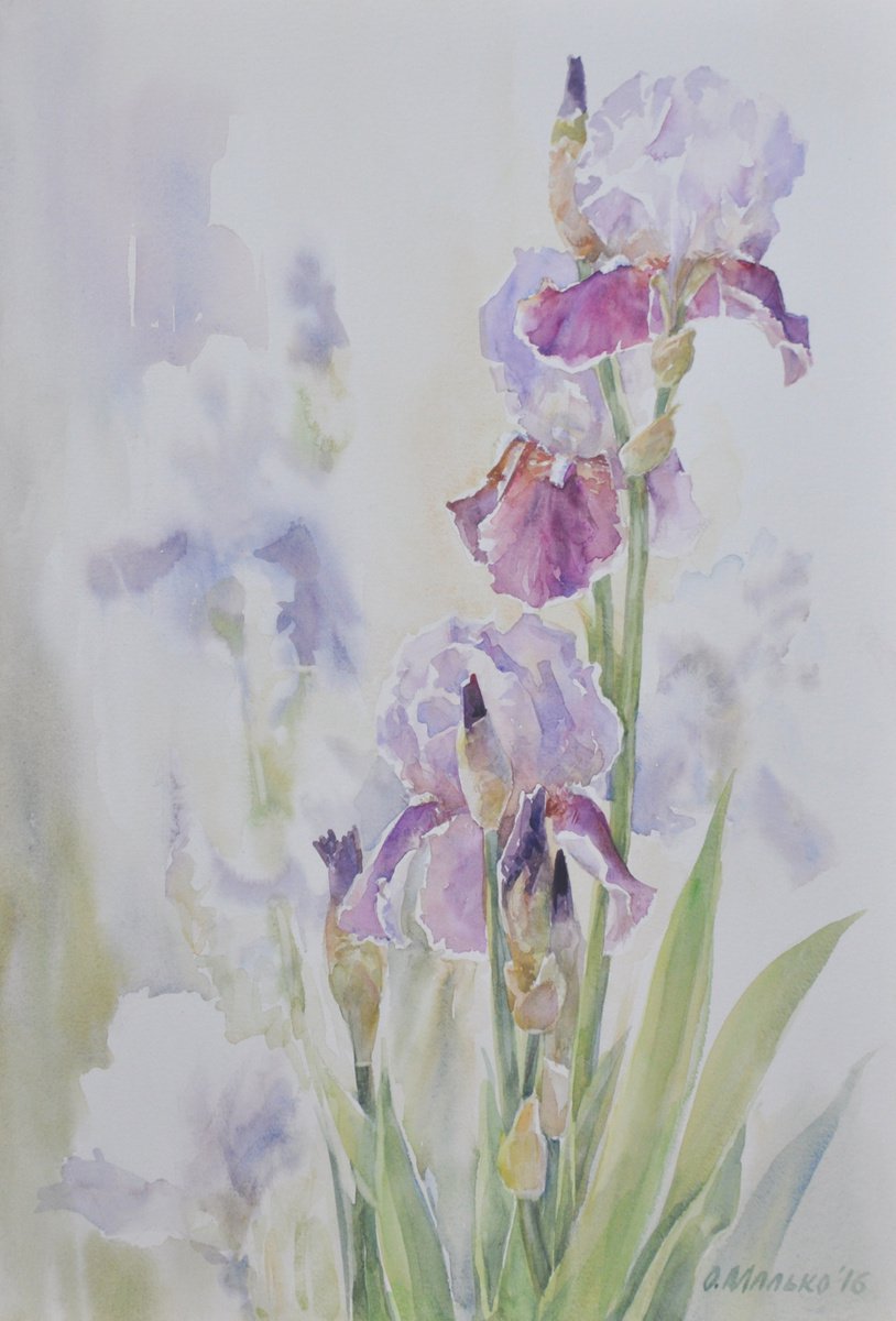 Irises in a garden / Purple blue floral watercolor. Spring flowers by Olha Malko